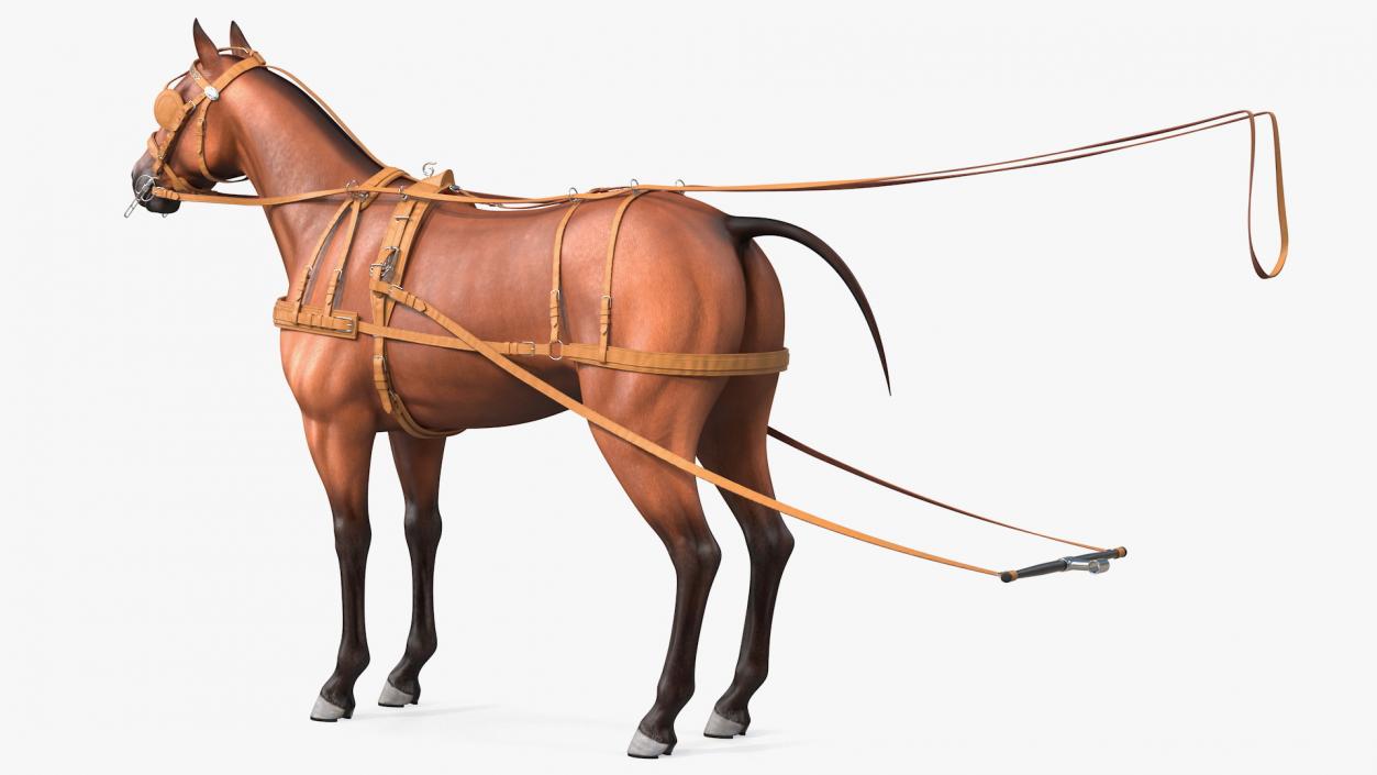 Horse Drawn Leather Driving Harness Rigged 3D