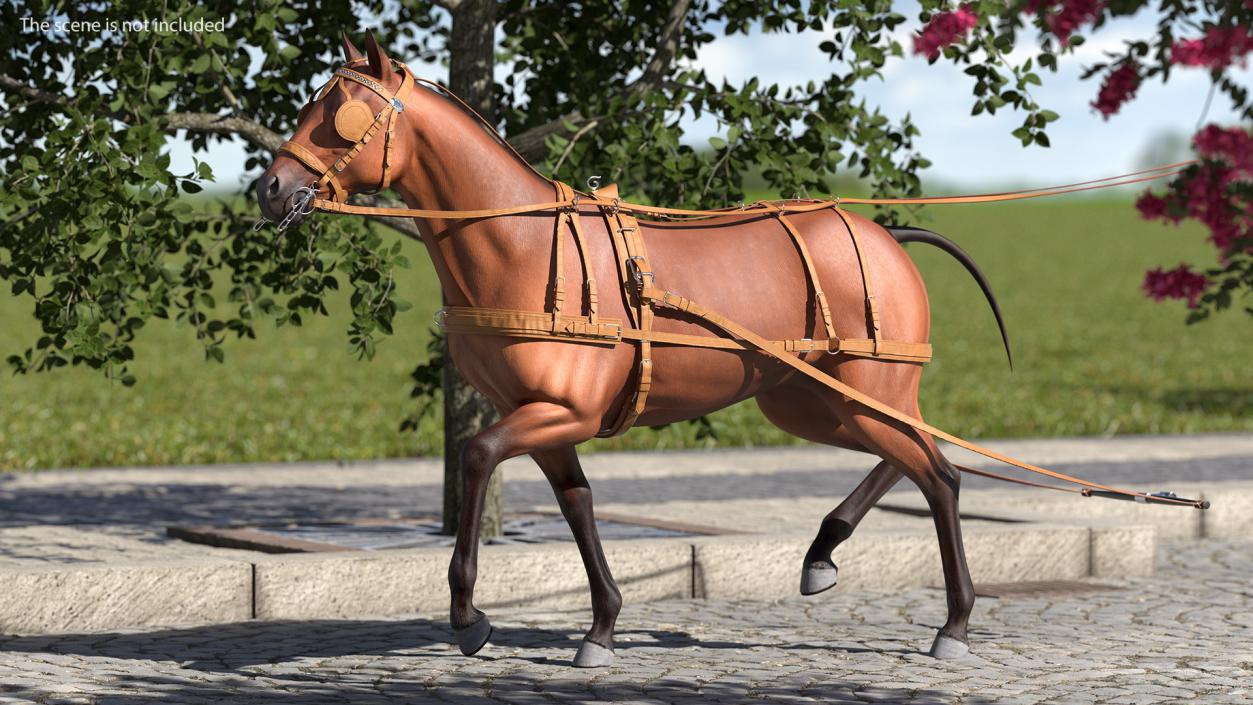 Horse Drawn Leather Driving Harness Rigged 3D