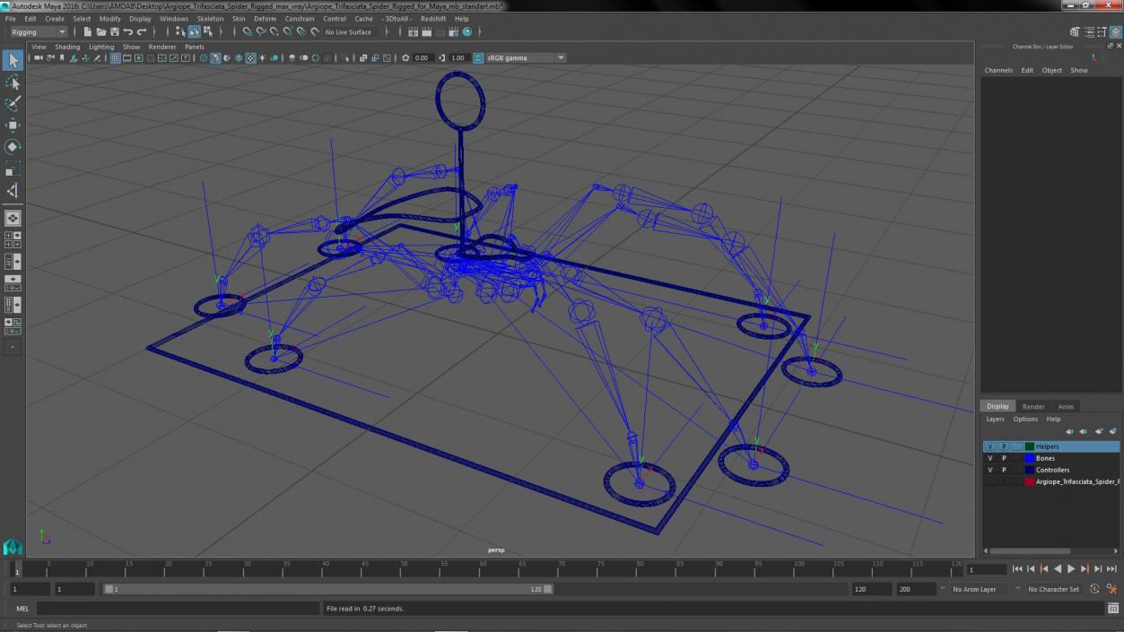 Argiope Trifasciata Spider Rigged for Maya 3D