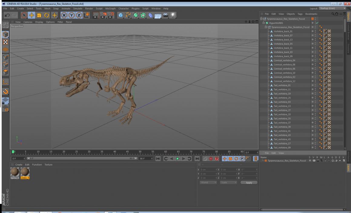 3D Tyrannosaurus Rex Skeleton Fossil model