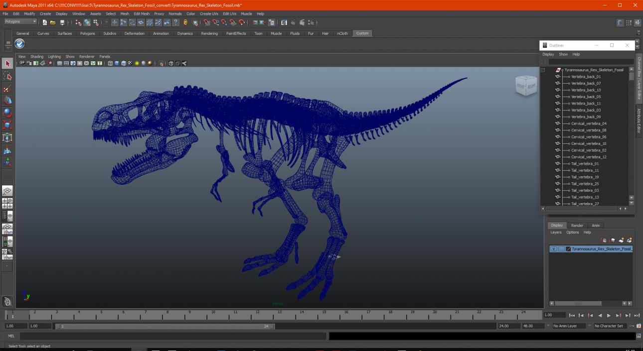 3D Tyrannosaurus Rex Skeleton Fossil model