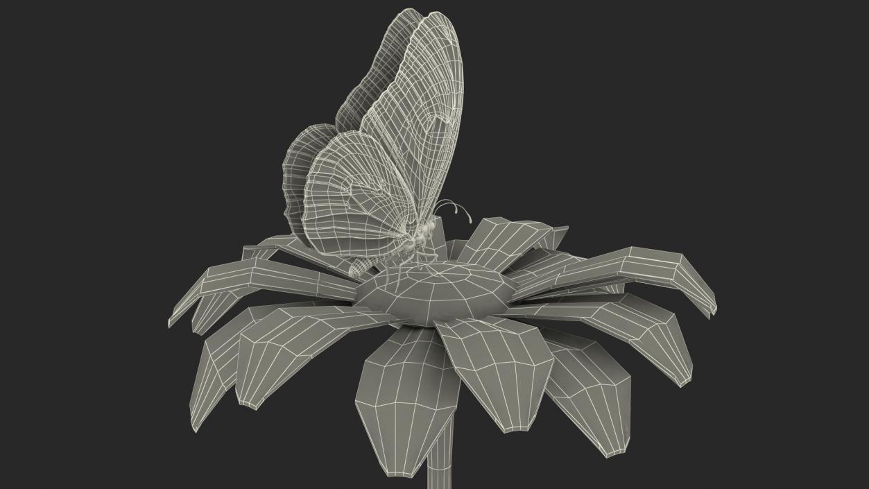 Animated Monarch Butterfly Collects Nectar Rigged 3D model