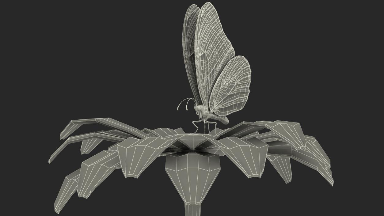 Animated Monarch Butterfly Collects Nectar Rigged 3D model