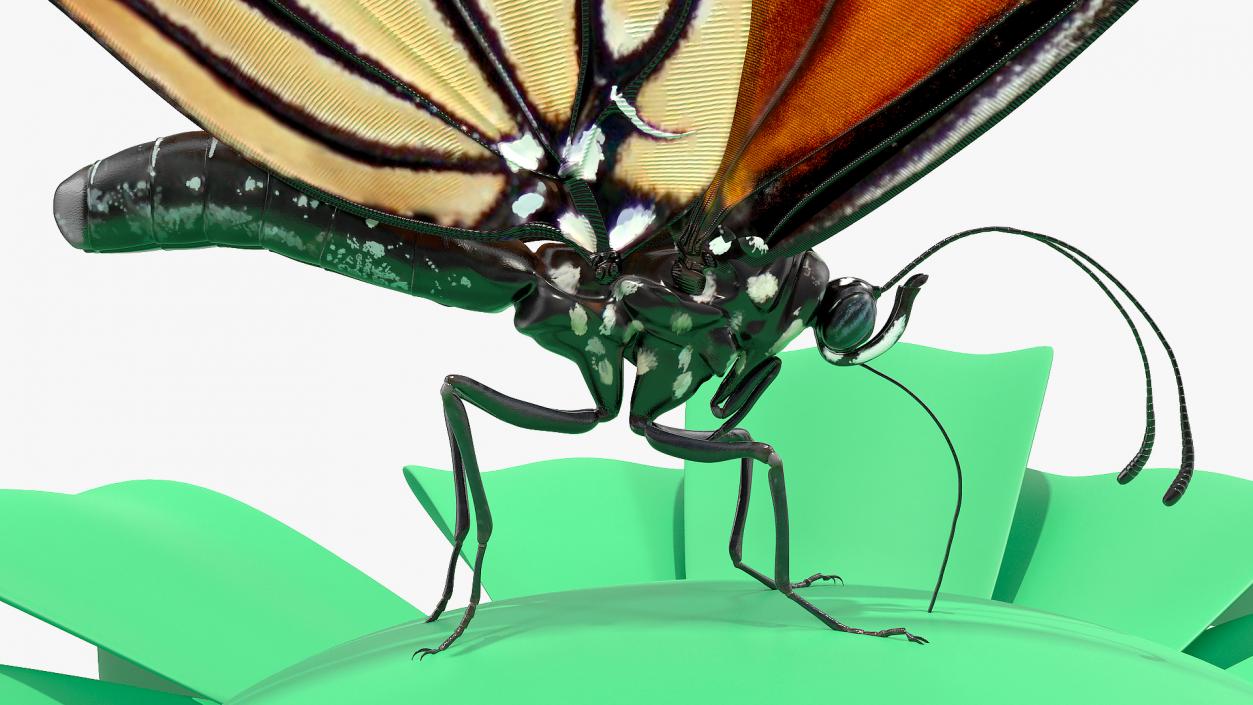 Animated Monarch Butterfly Collects Nectar Rigged 3D model