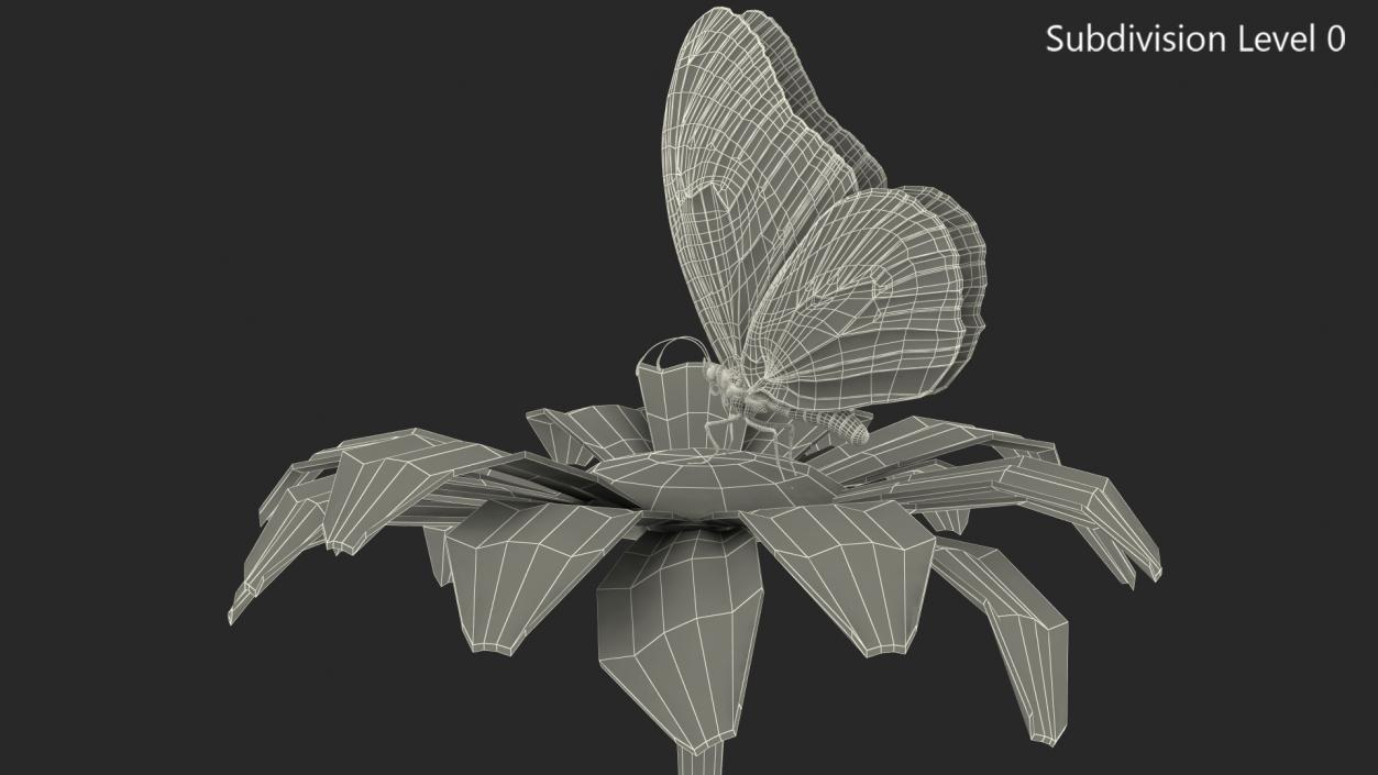 Animated Monarch Butterfly Collects Nectar Rigged 3D model