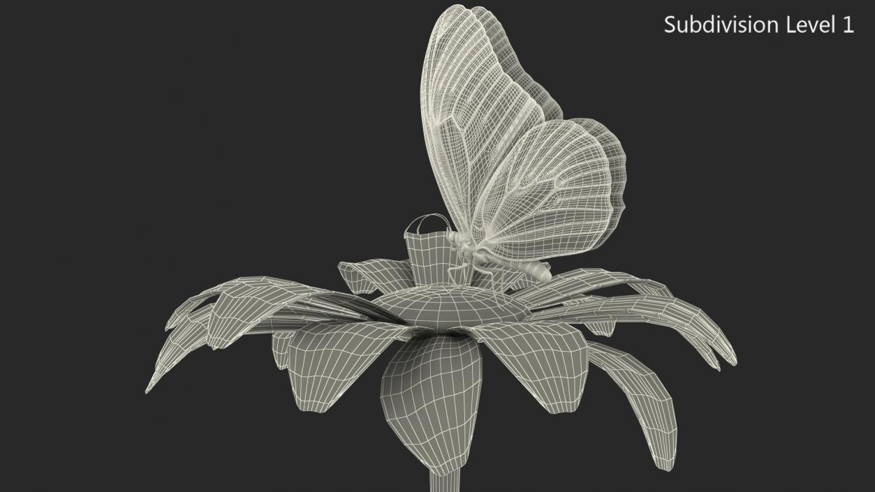 Animated Monarch Butterfly Collects Nectar Rigged 3D model