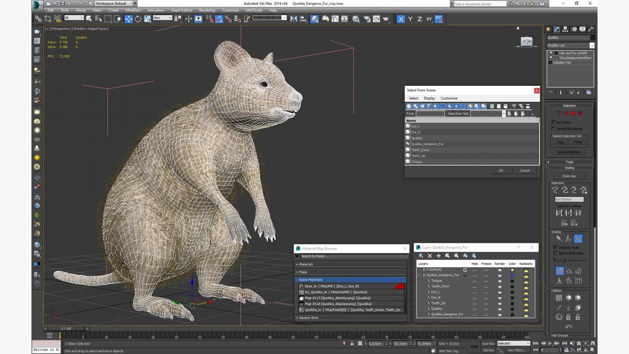 Quokka Kangaroo Fur 3D model