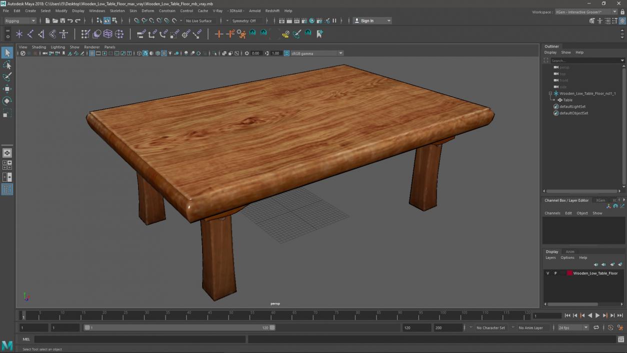 Wooden Low Table Floor 3D