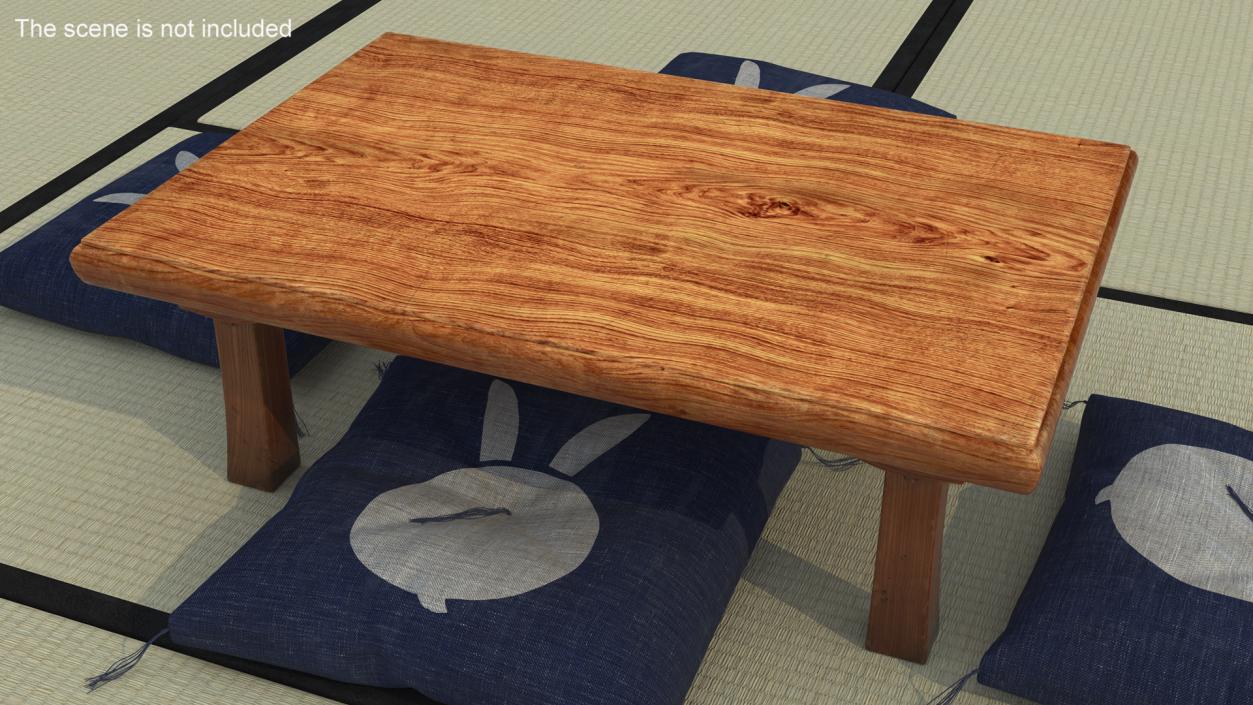 Wooden Low Table Floor 3D