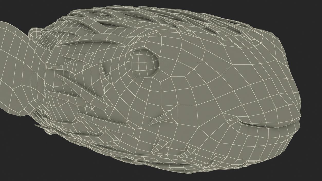 Puffer Fish Rigged for Maya 3D