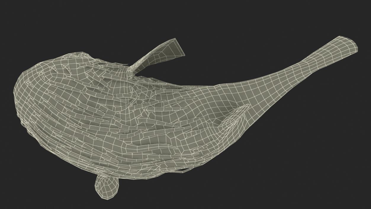 Puffer Fish Rigged for Maya 3D