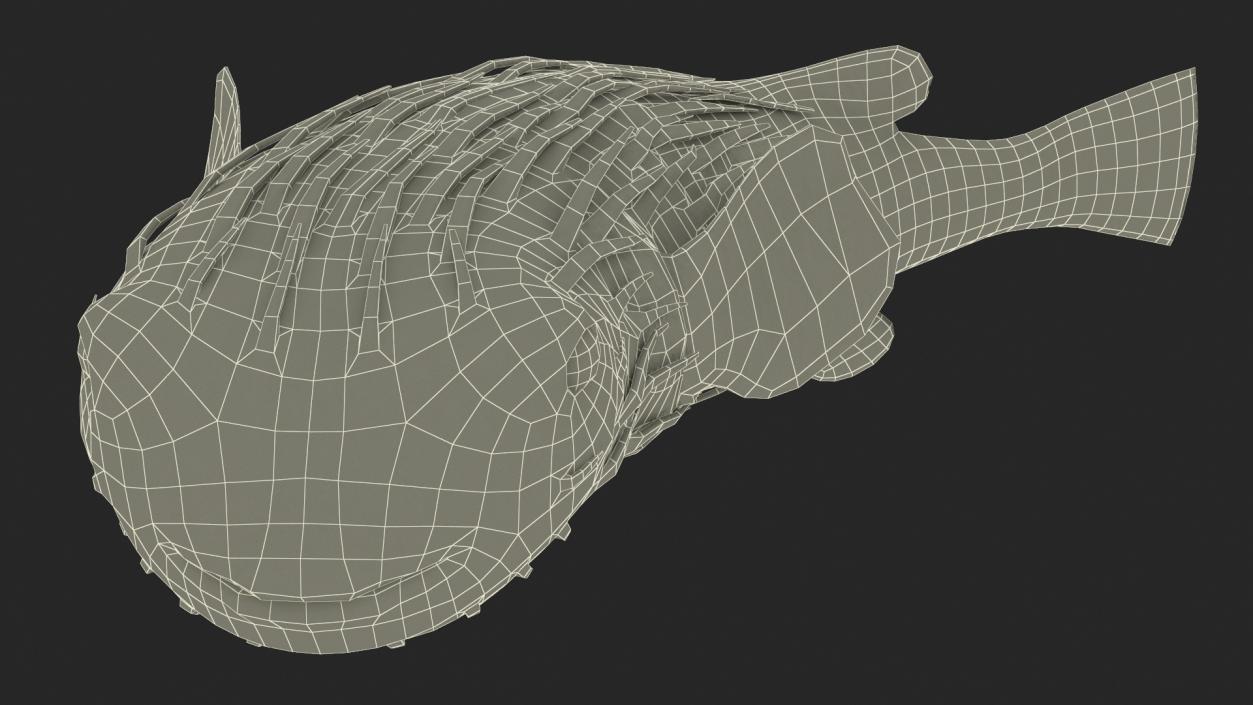 Puffer Fish Rigged for Maya 3D