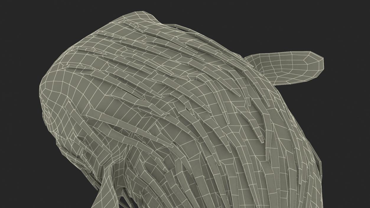 Puffer Fish Rigged for Maya 3D