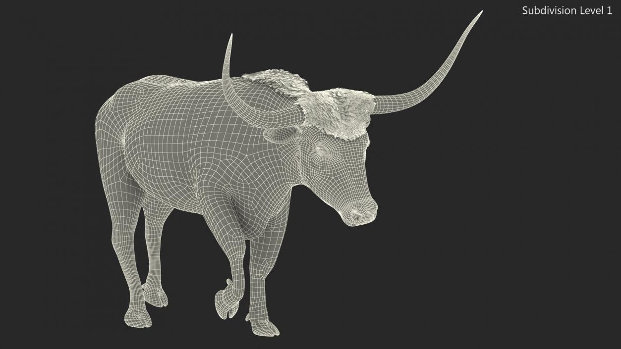 White Texas Longhorn Bull Walking Pose Fur 3D