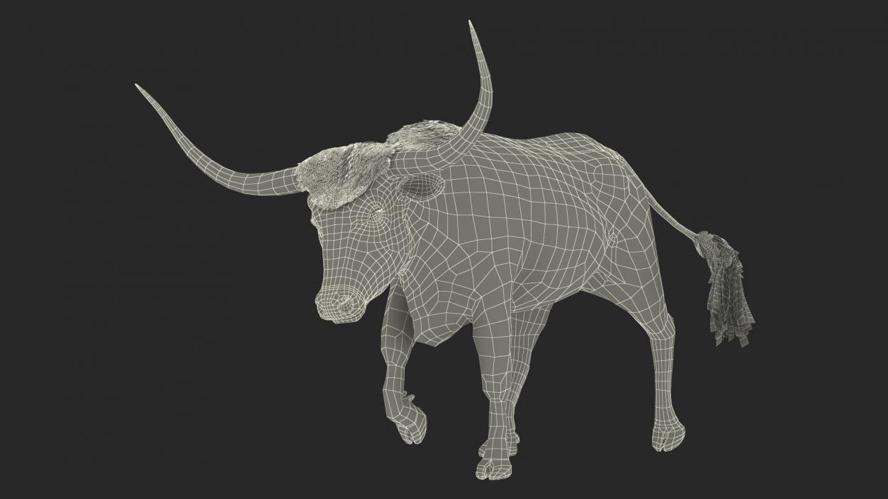 White Texas Longhorn Bull Walking Pose Fur 3D