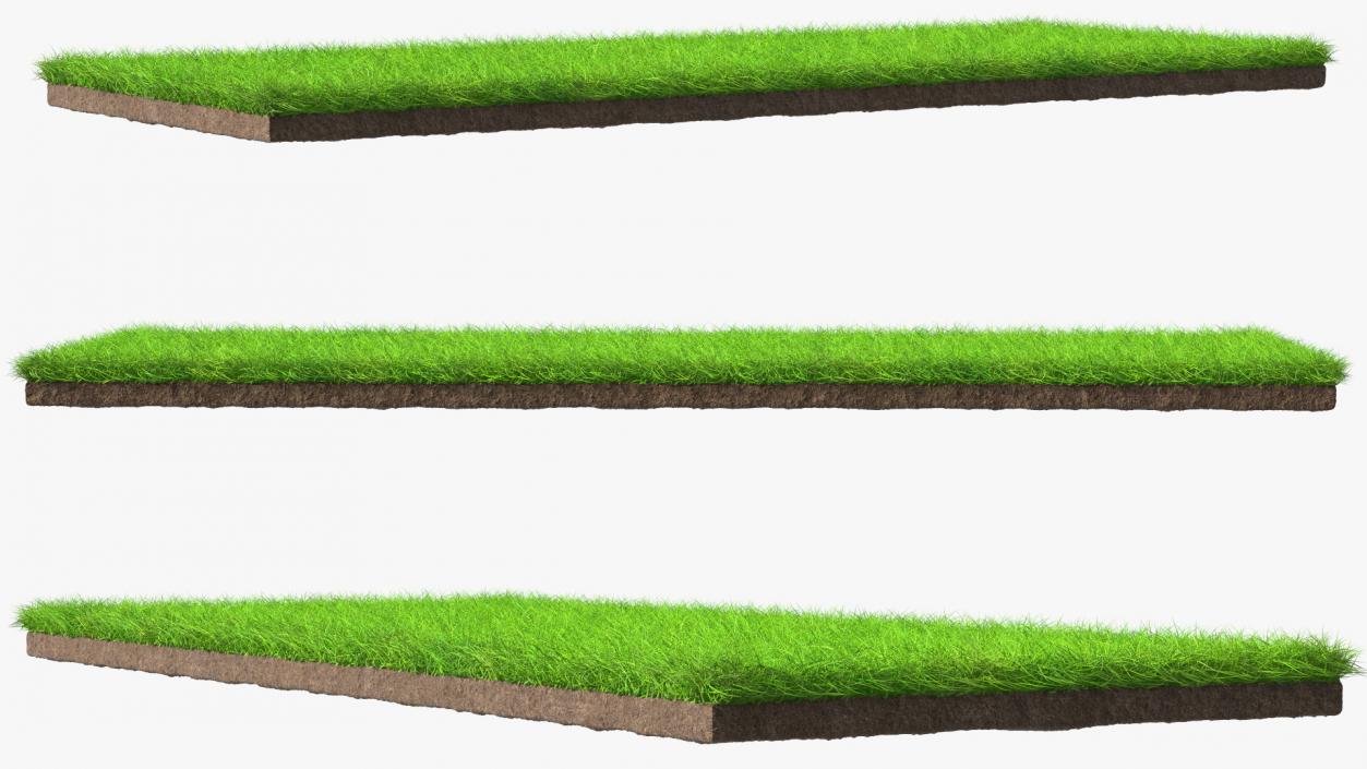 Lawn Turf Roll Unfolded Fur 3D