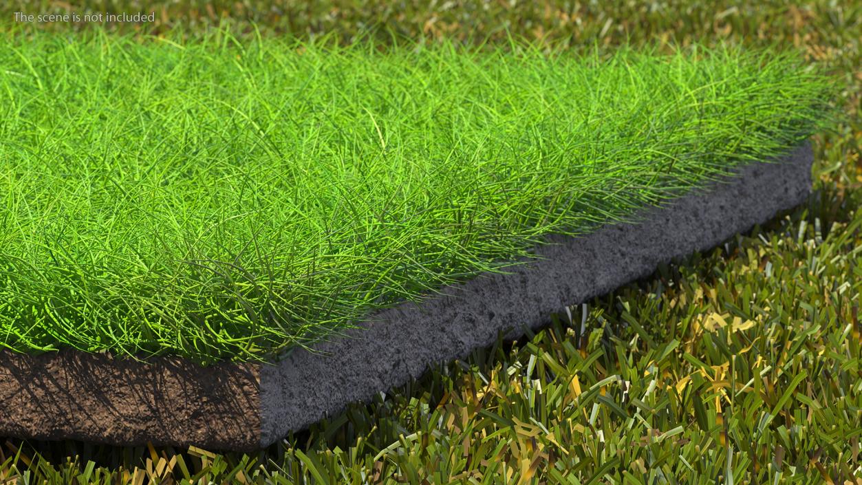 Lawn Turf Roll Unfolded Fur 3D