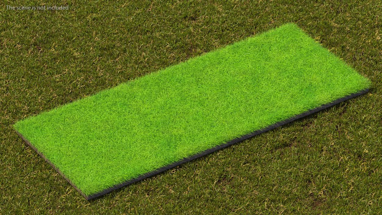 Lawn Turf Roll Unfolded Fur 3D