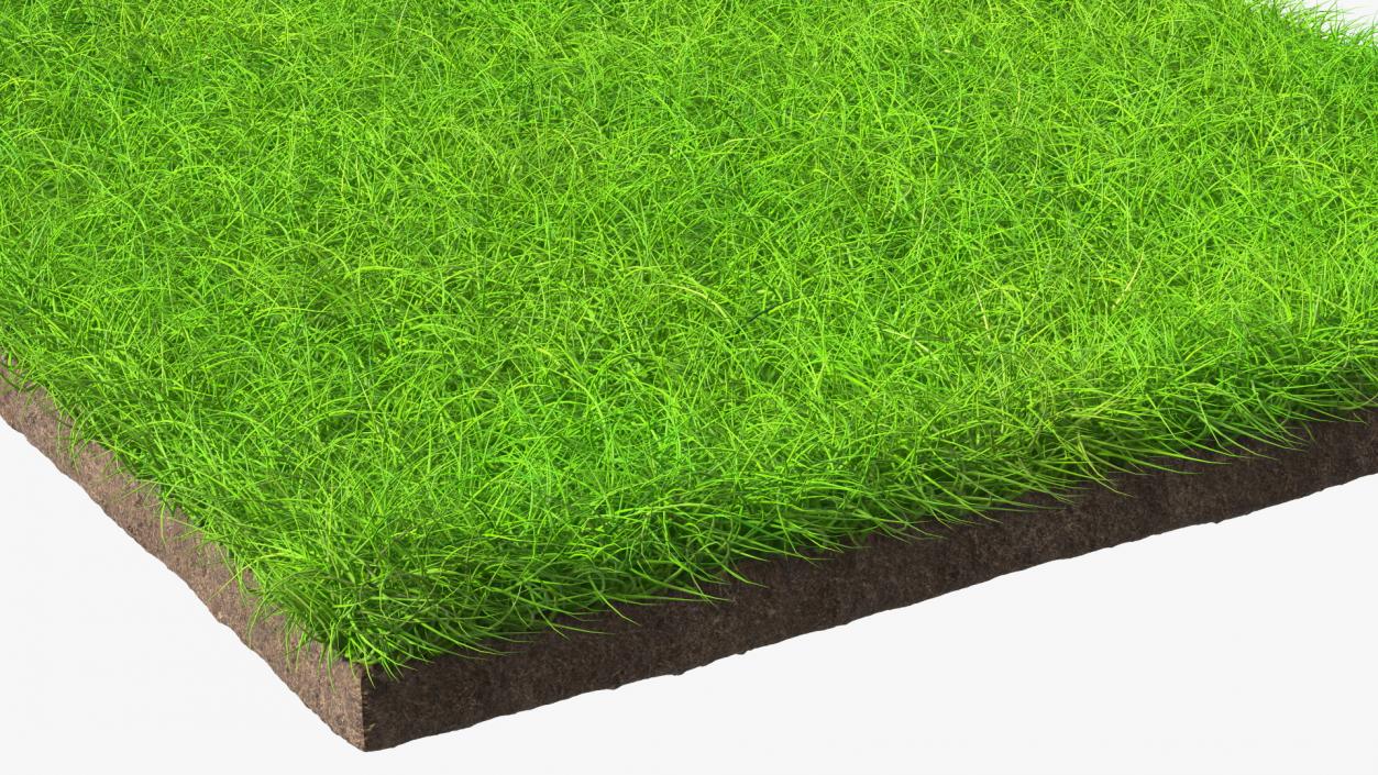 Lawn Turf Roll Unfolded Fur 3D