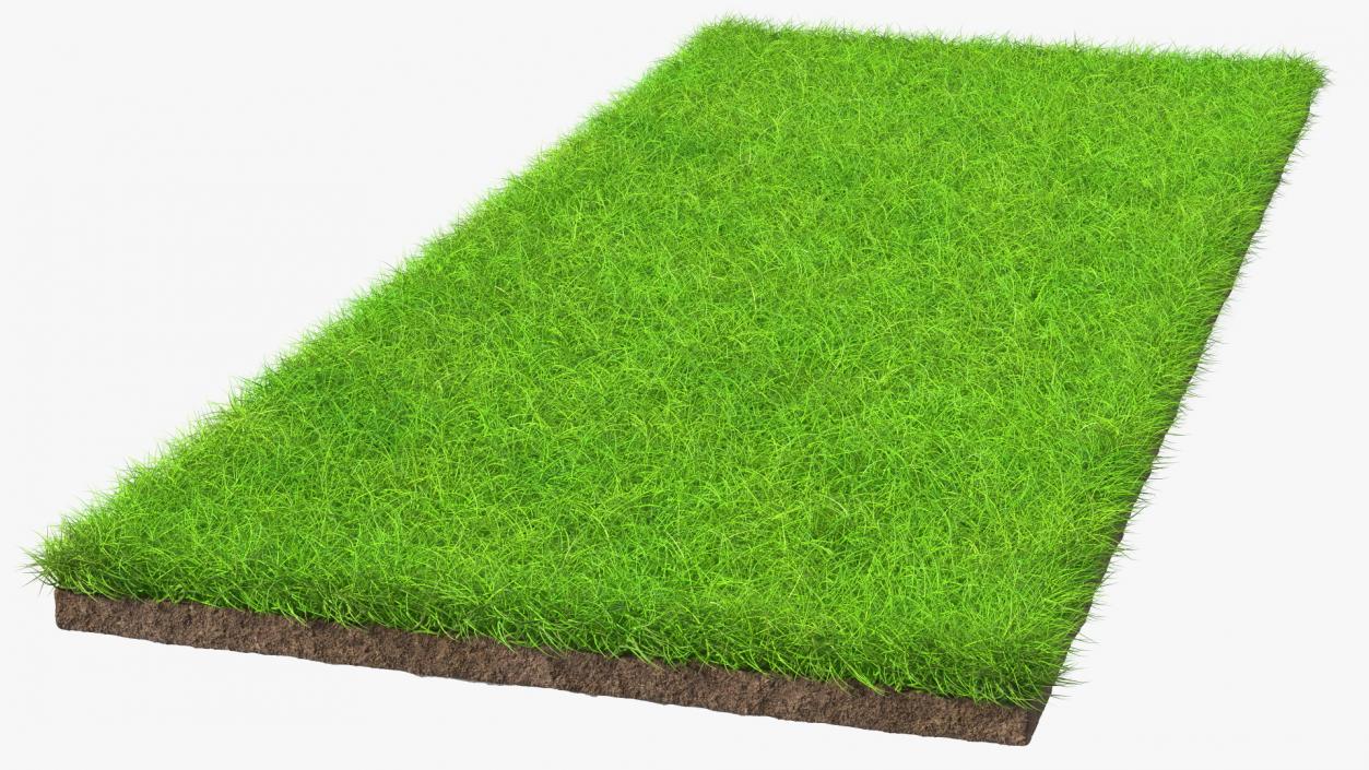 Lawn Turf Roll Unfolded Fur 3D