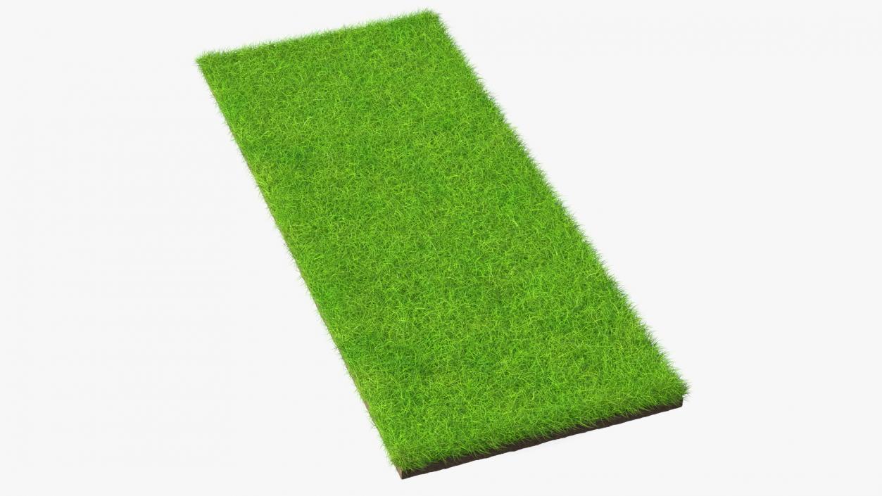 Lawn Turf Roll Unfolded Fur 3D