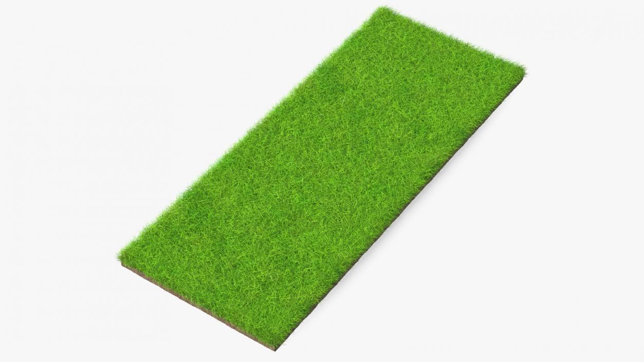 Lawn Turf Roll Unfolded Fur 3D