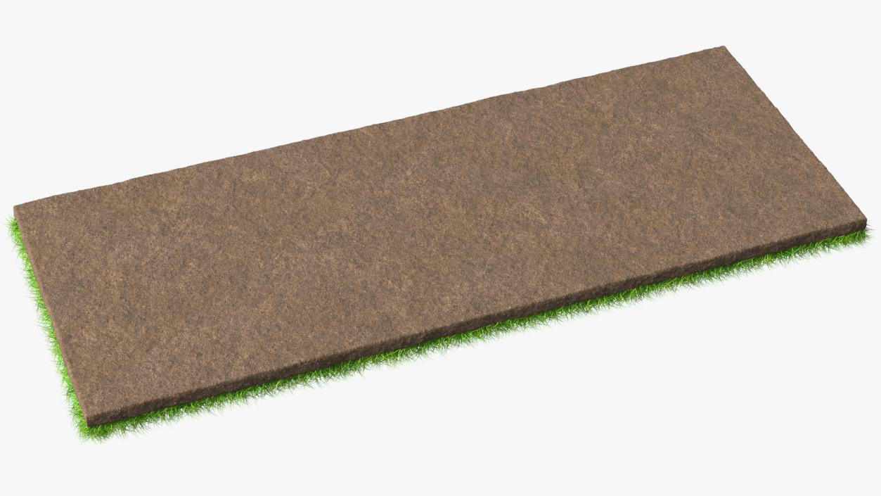 Lawn Turf Roll Unfolded Fur 3D