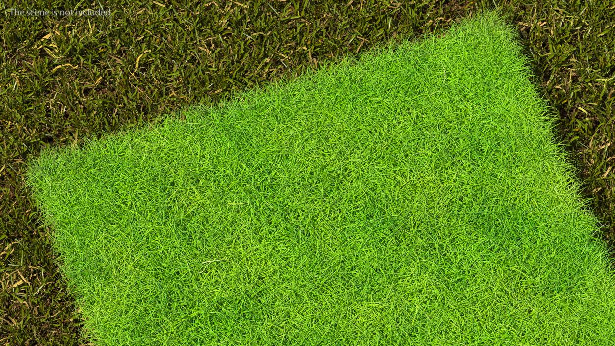 Lawn Turf Roll Unfolded Fur 3D