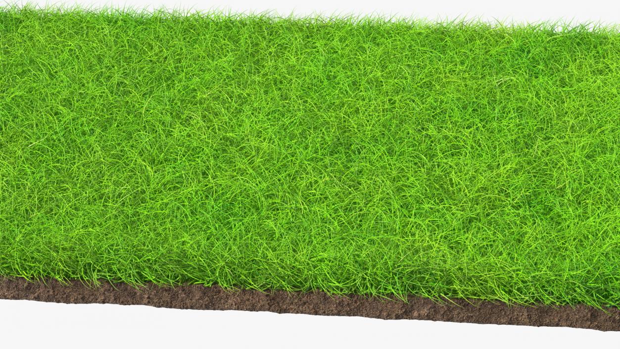 Lawn Turf Roll Unfolded Fur 3D