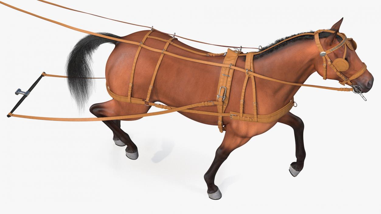 Horse Drawn Leather Single Driving Harness Walking Pose Fur 3D model