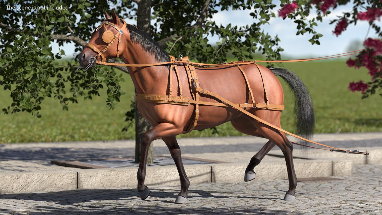 Horse Drawn Leather Single Driving Harness Walking Pose Fur 3D model