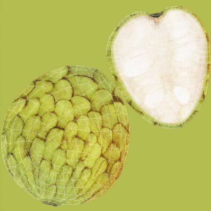 3D model Cherimoya Fruit Whole and Half