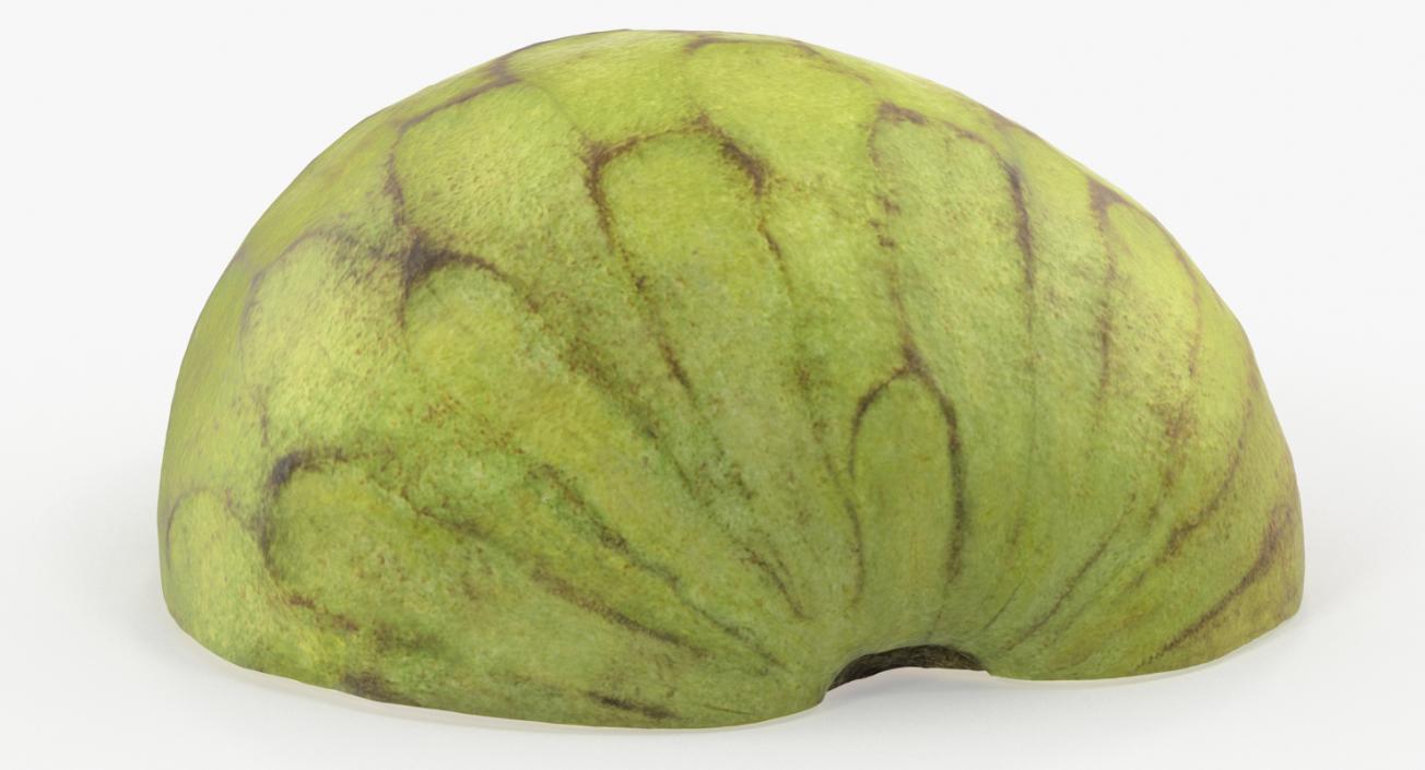 3D model Cherimoya Fruit Whole and Half