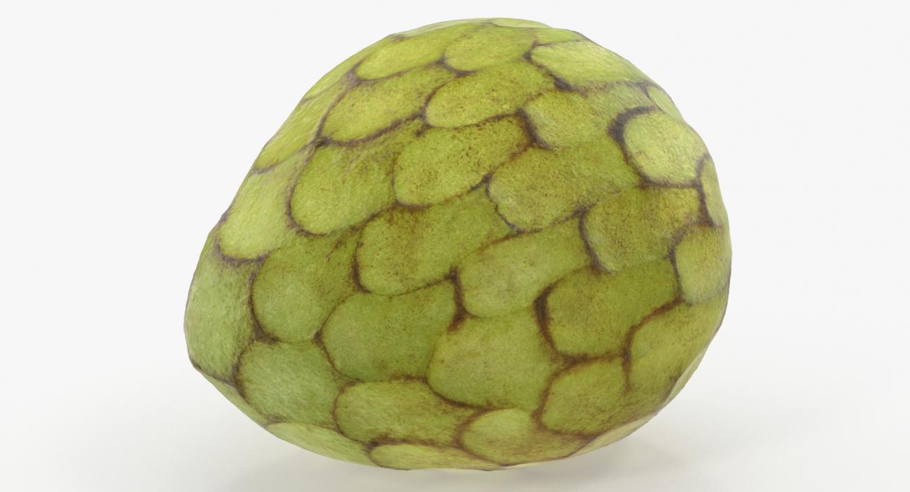 3D model Cherimoya Fruit Whole and Half