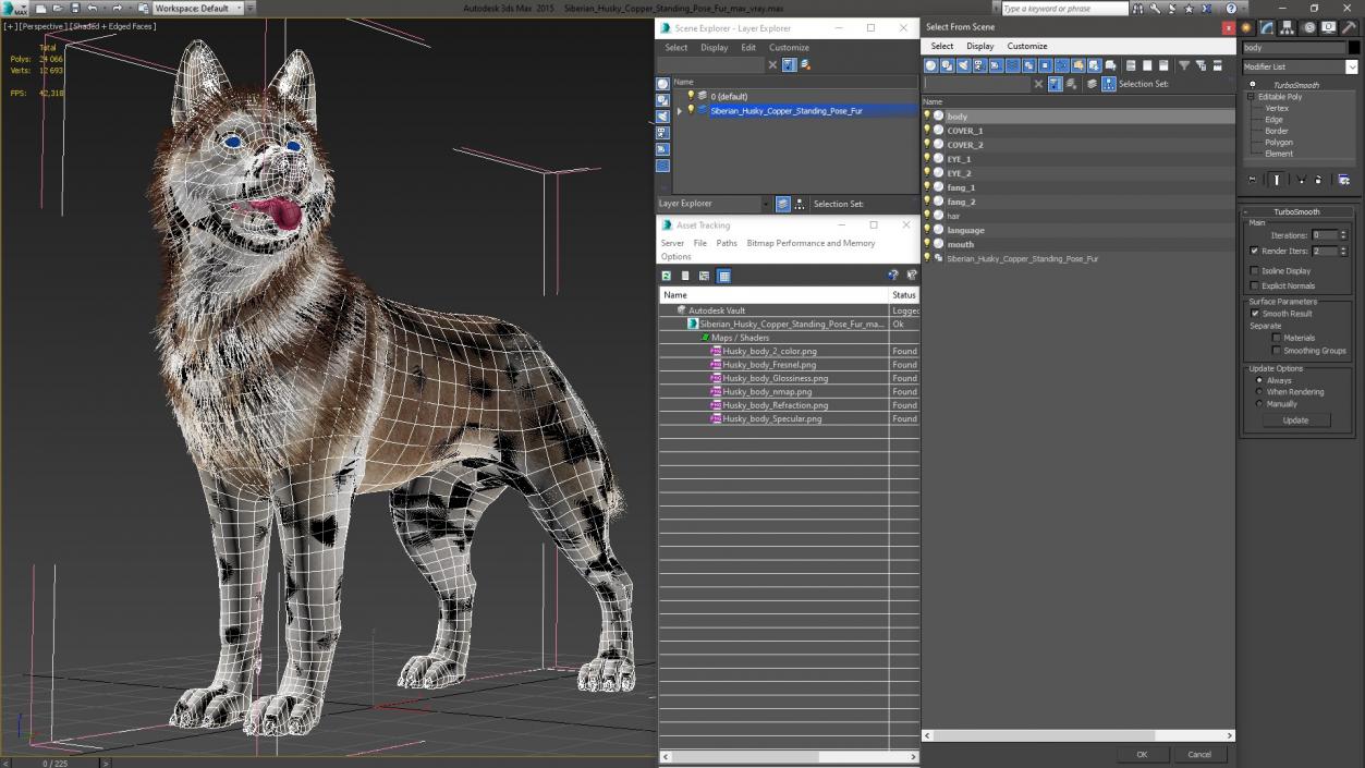 Siberian Husky Copper Standing Pose Fur 3D model