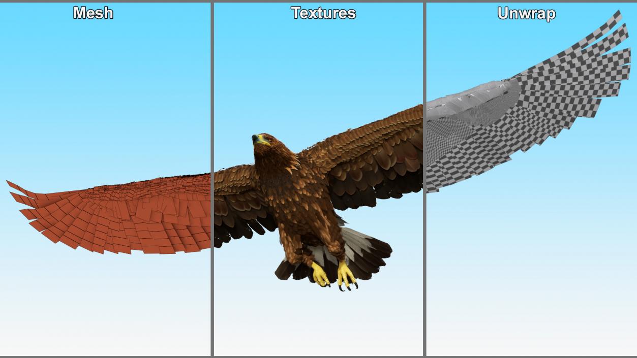 Realistic Golden Eagle Flying 3D model