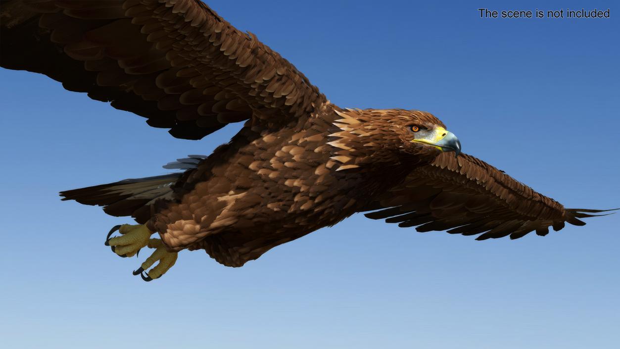 Realistic Golden Eagle Flying 3D model