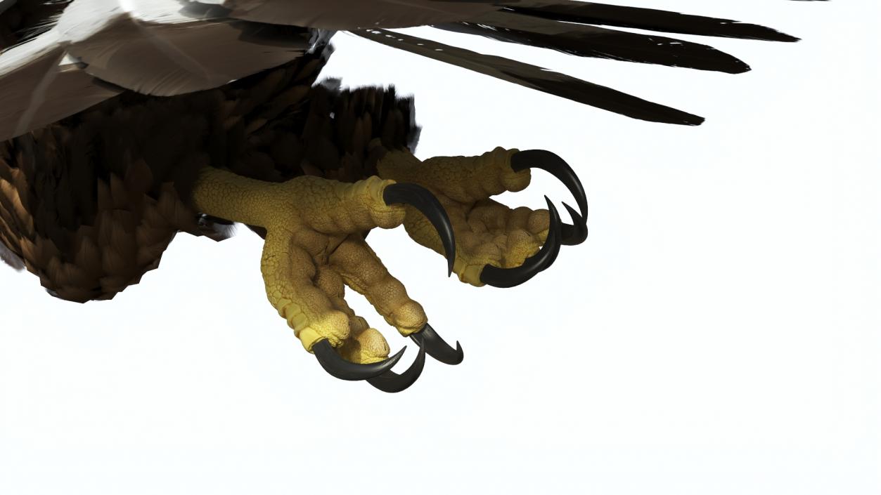 Realistic Golden Eagle Flying 3D model