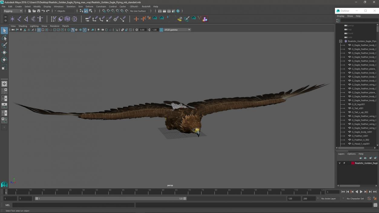 Realistic Golden Eagle Flying 3D model