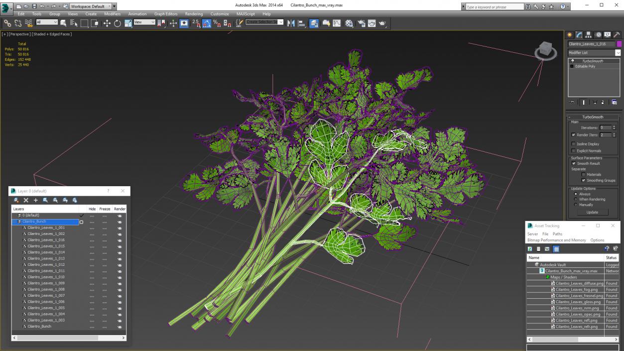 Cilantro Bunch 3D model