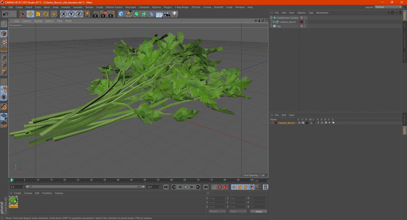 Cilantro Bunch 3D model