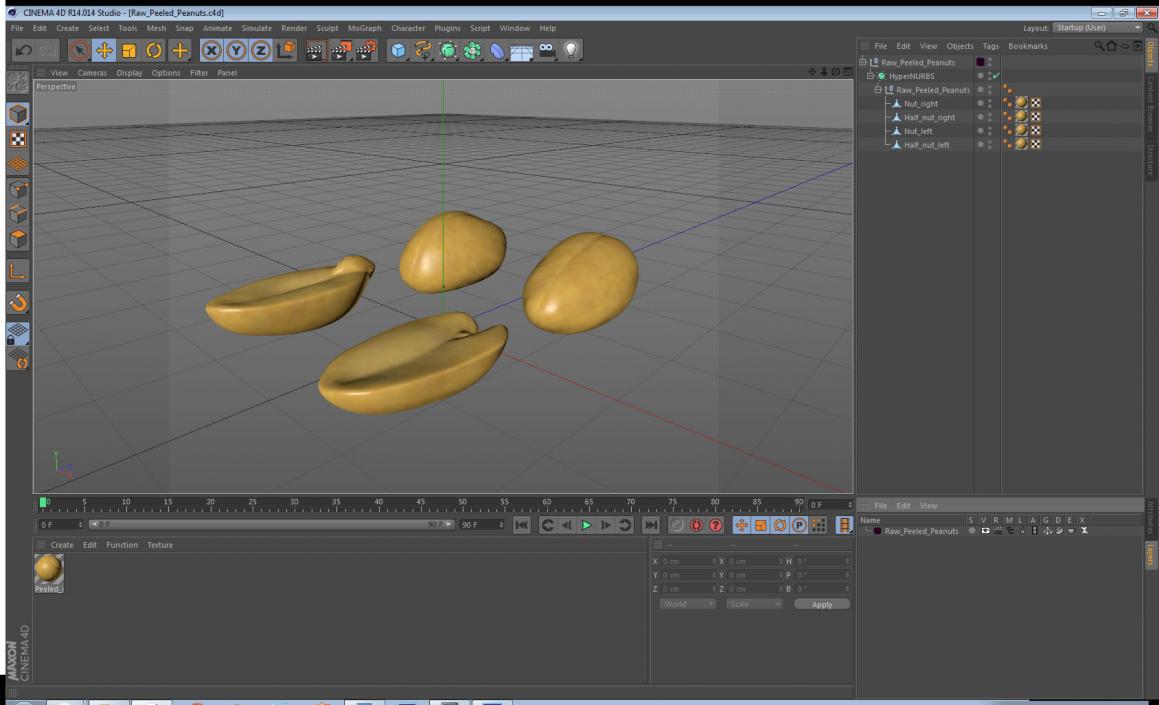 3D Raw Peeled Peanuts model