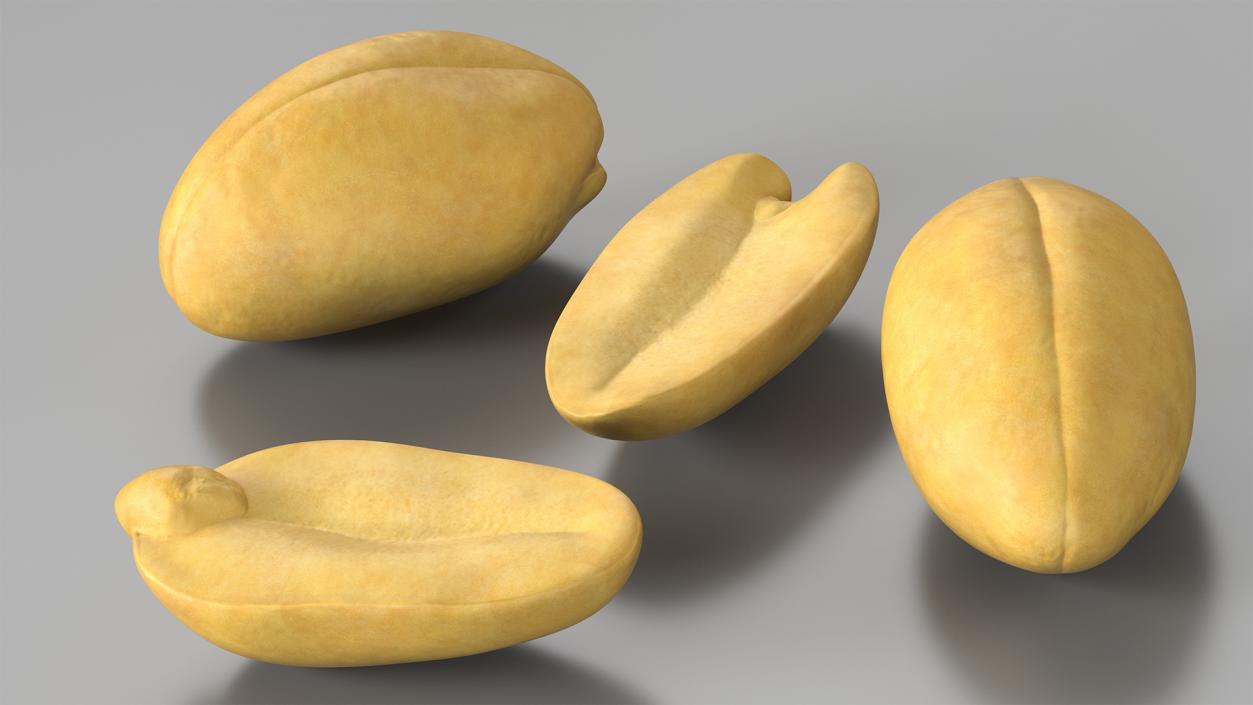 3D Raw Peeled Peanuts model