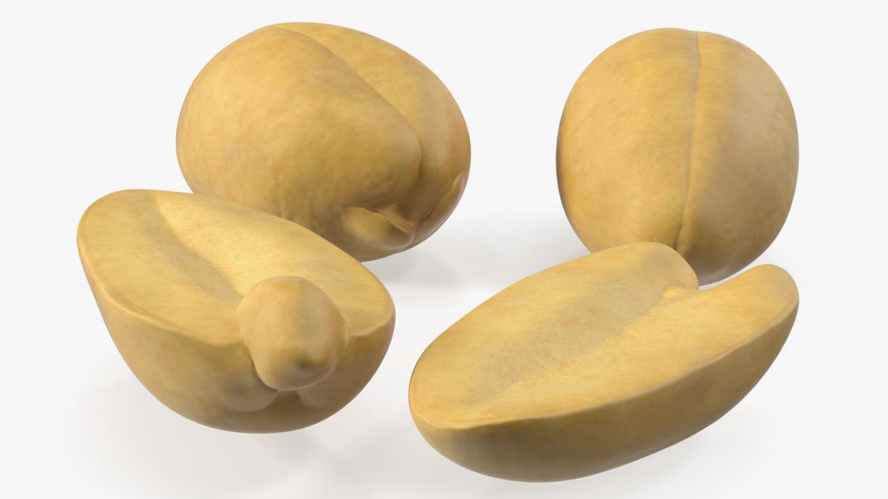 3D Raw Peeled Peanuts model