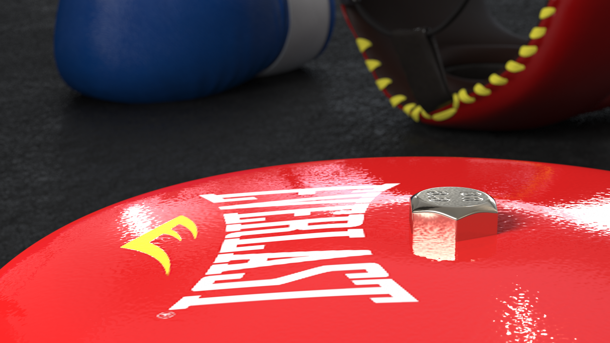 3D Everlast Ring Gong model