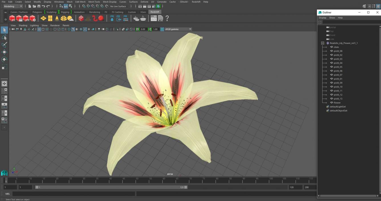 3D Realistic Lily Flower