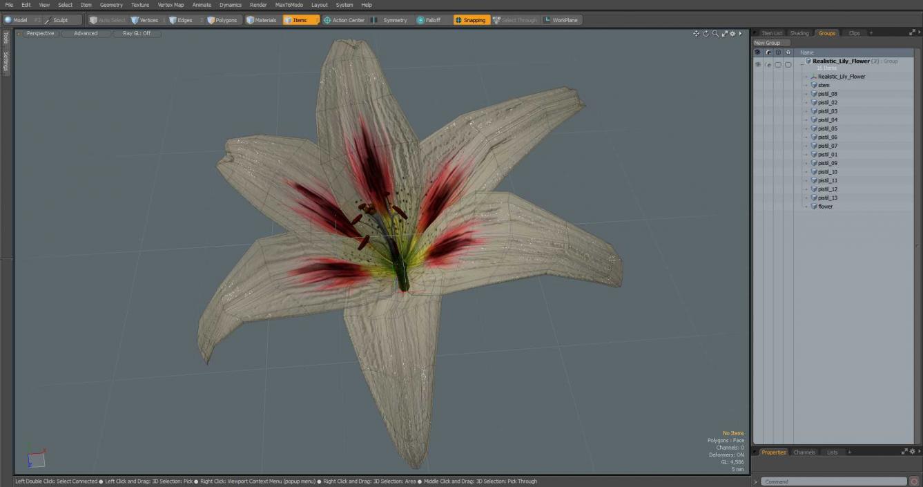 3D Realistic Lily Flower