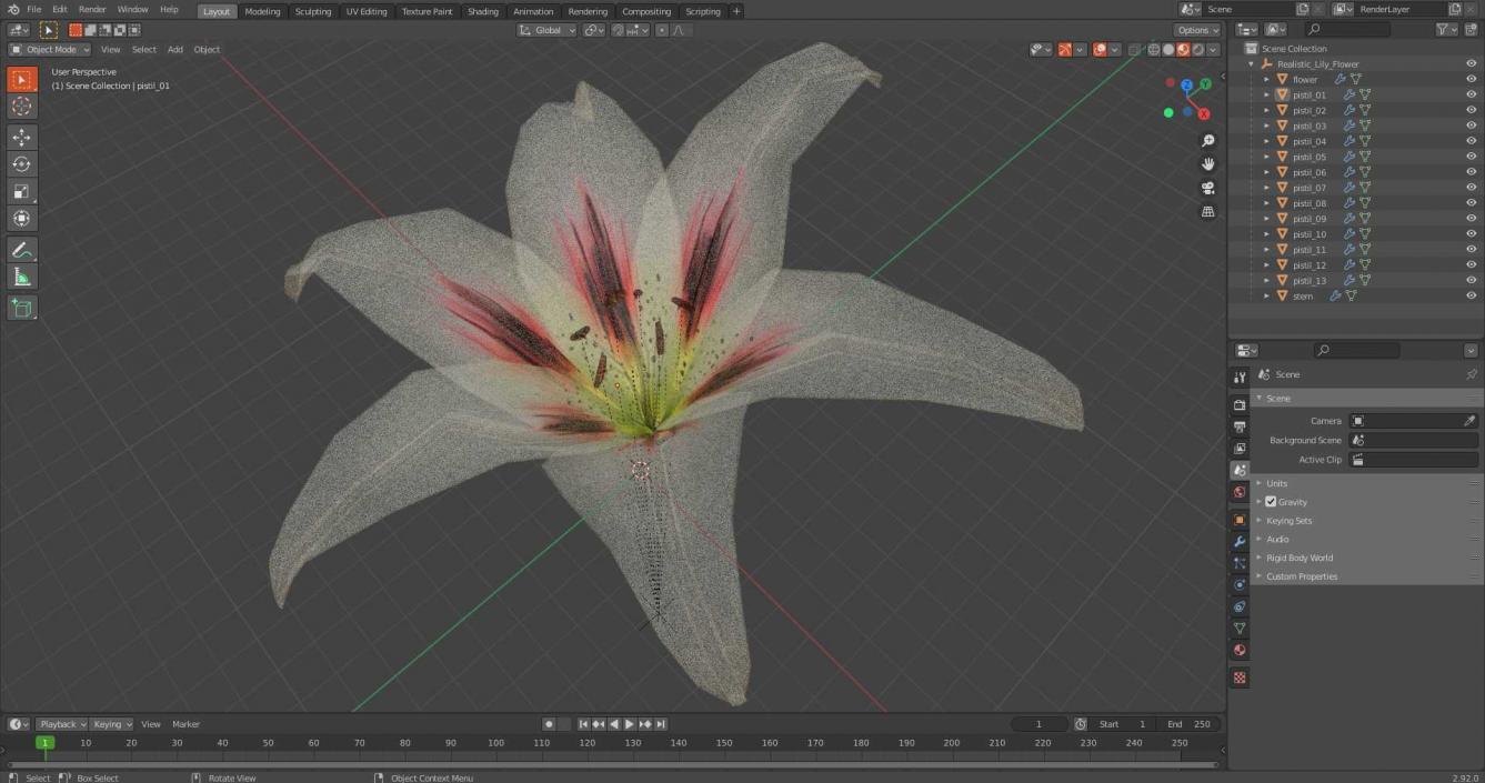 3D Realistic Lily Flower