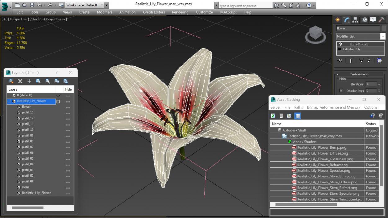 3D Realistic Lily Flower