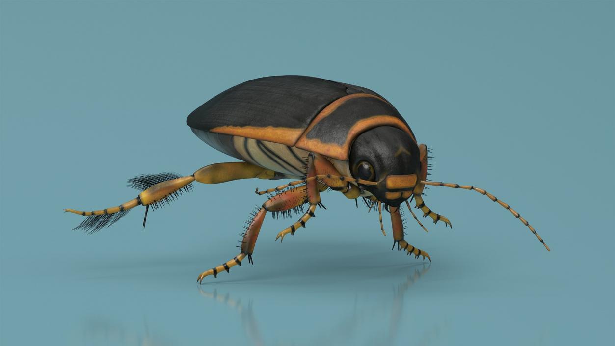 3D model Insects Collection 2